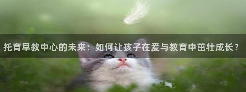威九国际网站入口地址：托育早教中心的未来：如何让孩子在爱与教育中茁壮成长？