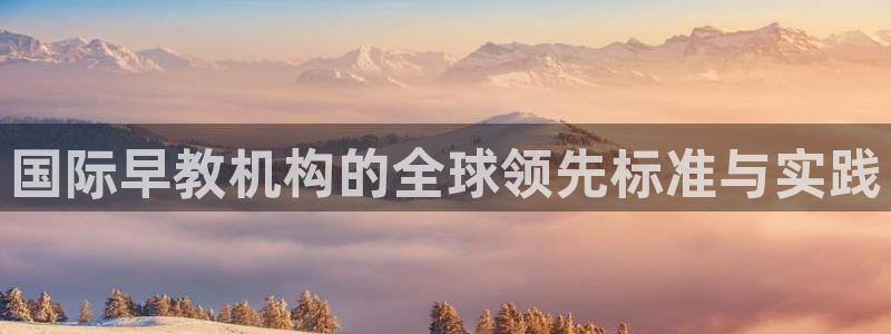 保定威九网络科技有限公司电话：国际早教机构的全球领先标准与实践