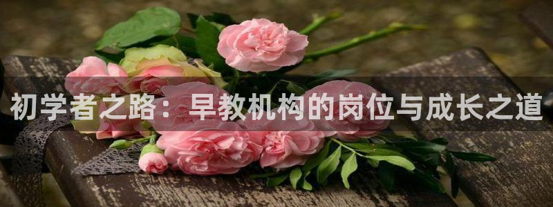 保定威九网络科技有限公司：初学者之路：早教机构的岗位与成长之道