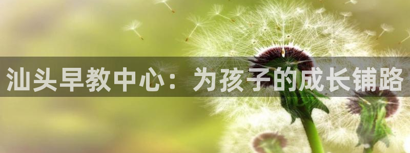 威九国际66m66官网：汕头早教中心：为孩子的成长铺路