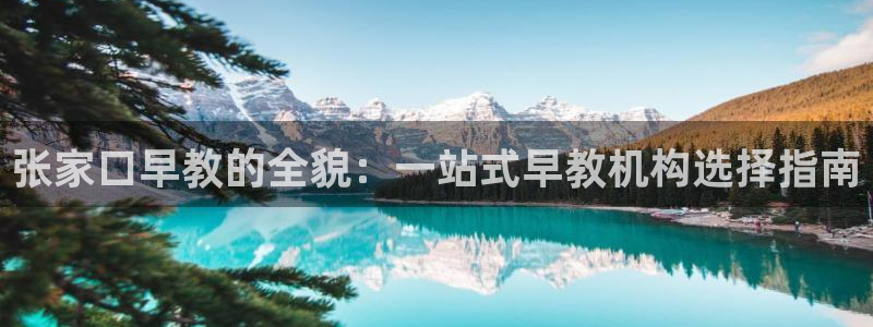 威九国际66m66模式视频：张家口早教的全貌：一站式早教机构选择指南