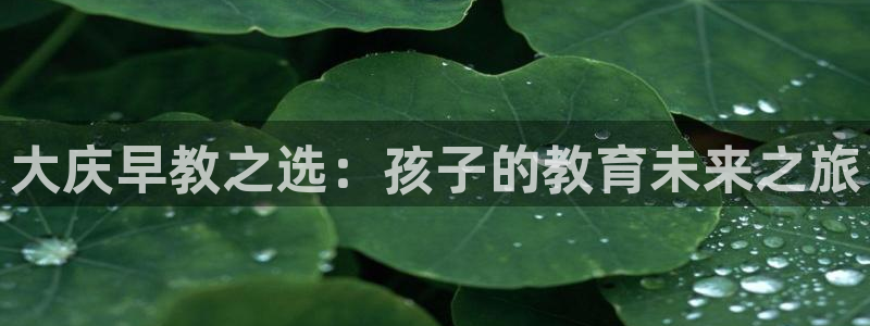保定威九网络科技有限公司招聘：大庆早教之选：孩子的教育未来之旅
