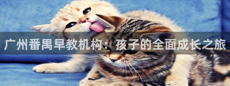 威九国际78mob游戏亮点：广州番禺早教机构：孩子的全面成长之旅
