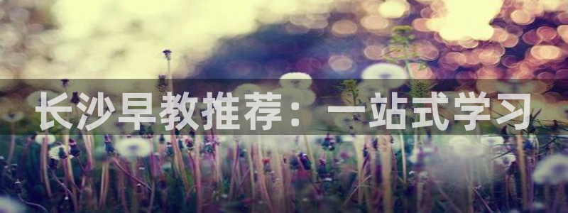 威九国际网站为什么不禁止：长沙早教推荐：一站式学习