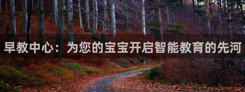 威九国际网站入口官网首页：早教中心：为您的宝宝开启智能教育的先河