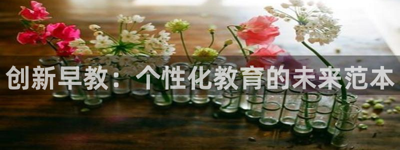 66m威九国际成长模式：创新早教：个性化教育的未来范本