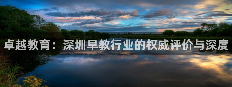 威九国际正规吗：卓越教育：深圳早教行业的权威评价与深度