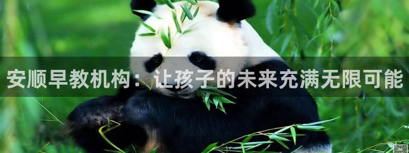 威九国际免费：安顺早教机构：让孩子的未来充满无限可能