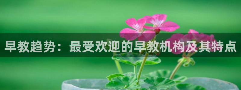 威九国际app网站官网：早教趋势：最受欢迎的早教机构及其特点