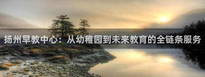 78m.ppt威九国际官网版：扬州早教中心：从幼稚园到未来教育的全链条服务