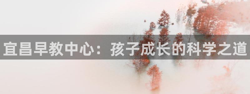 威九国际66m免费版：宜昌早教中心：孩子成长的科学之道