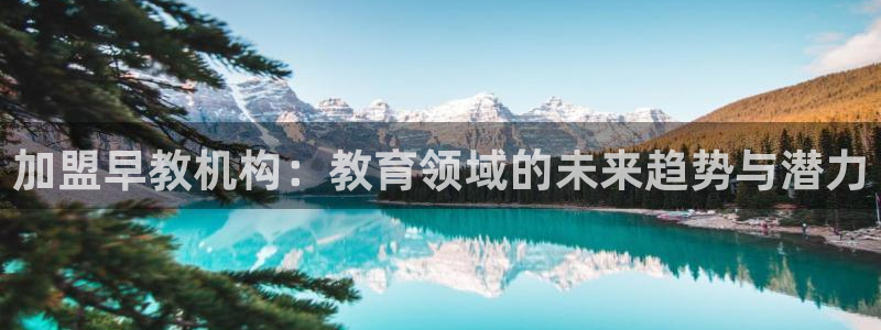 威九国际电影HD：加盟早教机构：教育领域的未来趋势与潜力