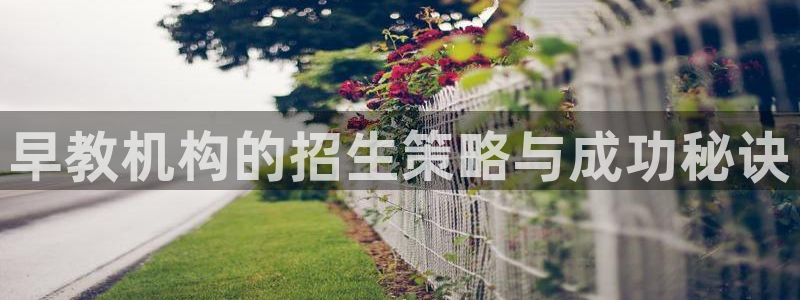 威九国际天美：早教机构的招生策略与成功秘诀
