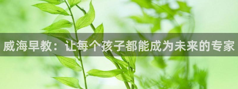 威九国际新：威海早教：让每个孩子都能成为未来的专家