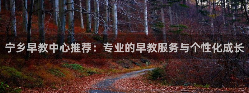 威九国际能提现吗是真的吗：宁乡早教中心推荐：专业的早教服务与个性化成长