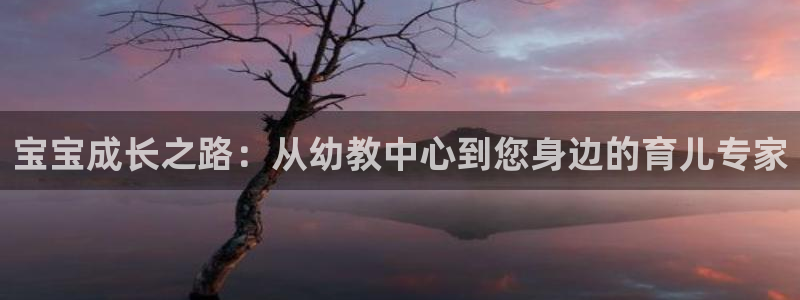威九国际78m-MBA智库百科：宝宝成长之路：从幼教中心到您身边的育儿专家