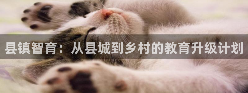 威九国际客服电话：县镇智育：从县城到乡村的教育升级计划