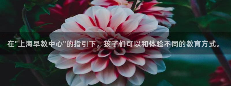 威九国际真人玩家在线对战：在\