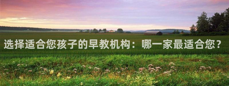 威九国际取款:选择适合您孩子的早教机构:哪一家最适合您?