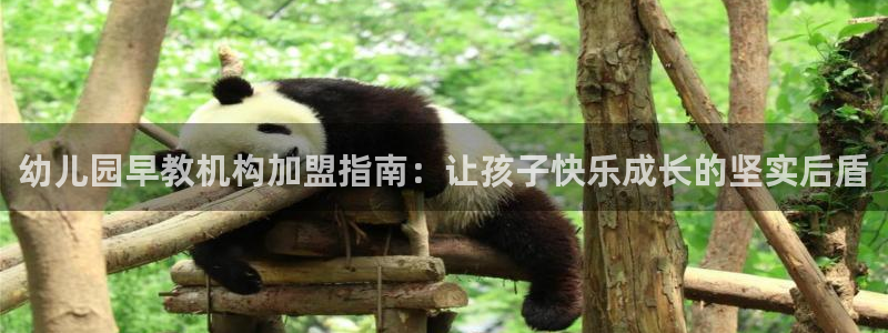 威九国际天美：幼儿园早教机构加盟指南：让孩子快乐成长的坚实后盾