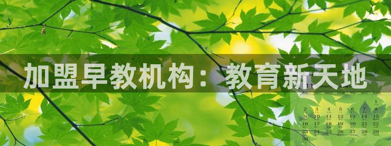 威九国际网页看视频弹窗的广告拦截插件：加盟早教机构：教育新天地