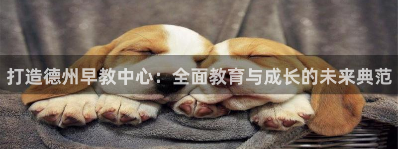 威九国际的金融服务怎么样：打造德州早教中心：全面教育与成长的未来典范