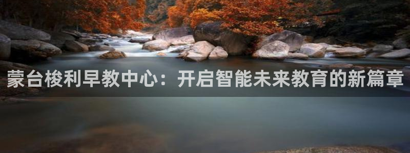 威九国际网站官网：蒙台梭利早教中心：开启智能未来教育的新篇章
