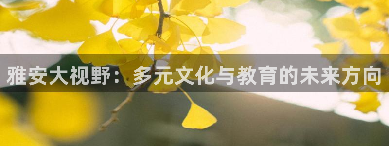 威九国际网站进入产品中心怎么进：雅安大视野：多元文化与教育的未来方向