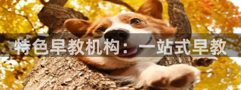 威九国际的演员:特色早教机构:一站式早教