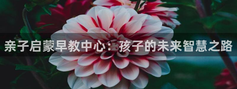 威九国际取款不会被骗吧是真的吗：亲子启蒙早教中心：孩子的未来智慧之路