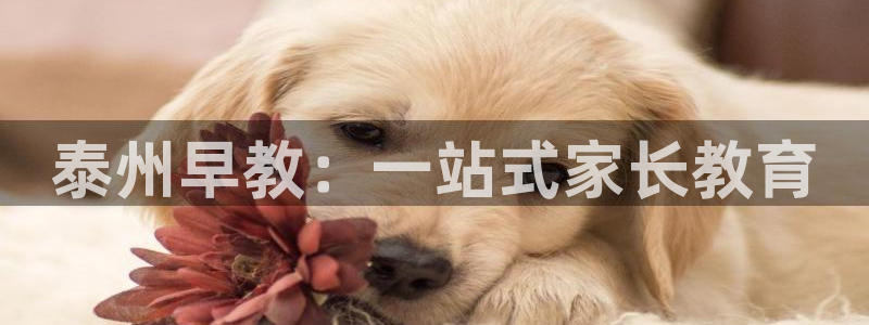 威九国际H：泰州早教：一站式家长教育