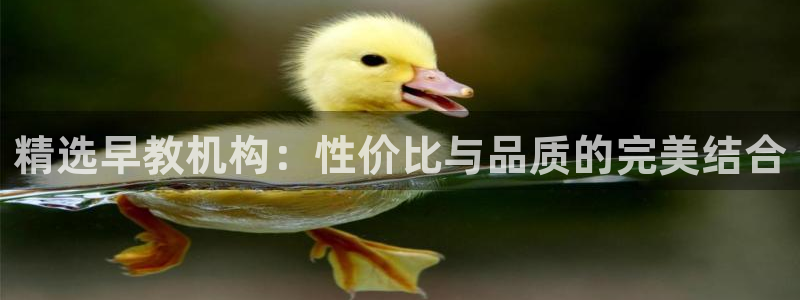 威九国际w98：精选早教机构：性价比与品质的完美结合