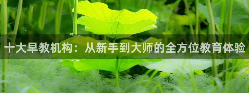 威九国际网站入口官网免费下载：十大早教机构：从新手到大师的全方位教育体验