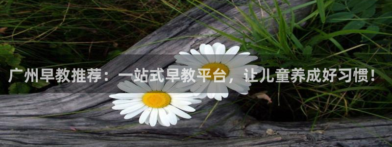 威九国际网站进入客服中心怎么退出：广州早教推荐：一站式早教平台，让儿童养成好习惯