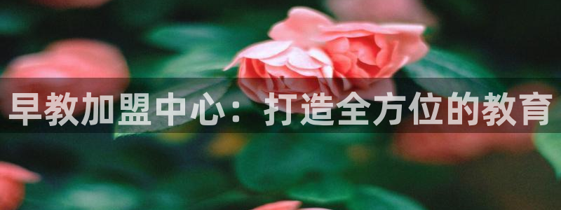 威九国际66m：早教加盟中心：打造全方位的教育