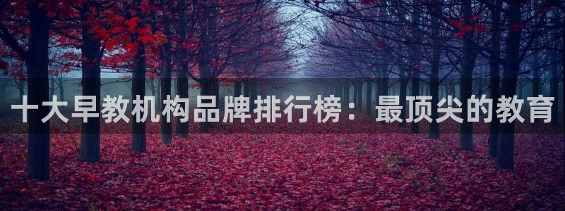威九国际h5：十大早教机构品牌排行榜：最顶尖的教育