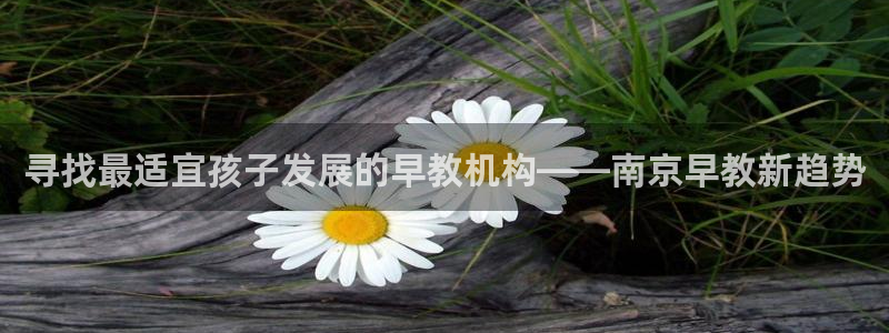威九国际mb：寻找最适宜孩子发展的早教机构——南京早教新趋势