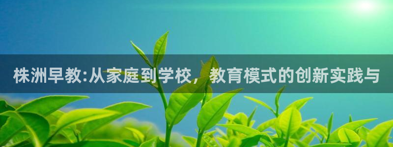 威九国际下载：株洲早教:从家庭到学校，教育模式的创新实践与