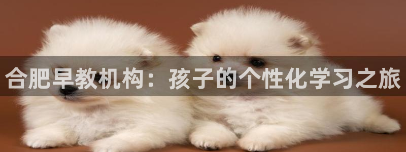 威九国际特殊奖励我的奖励竟然是嫂子：合肥早教机构：孩子的个性化学习之旅