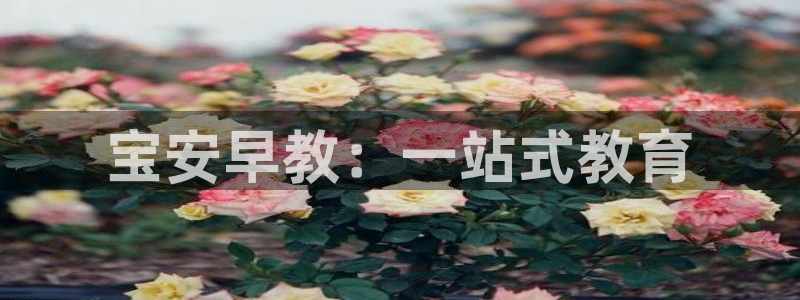 威九国际软件公司简介:宝安早教:一站式教育