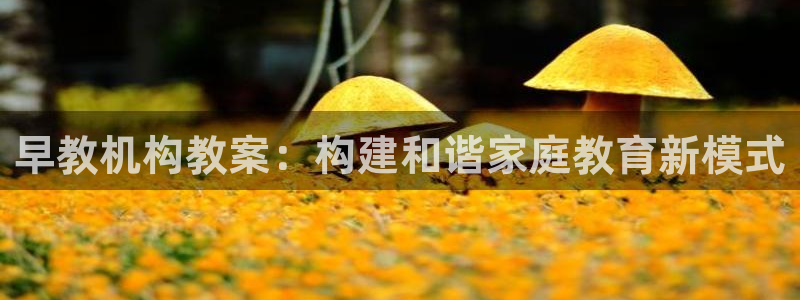威九国际可以提现吗安全吗：早教机构教案：构建和谐家庭教育新模式