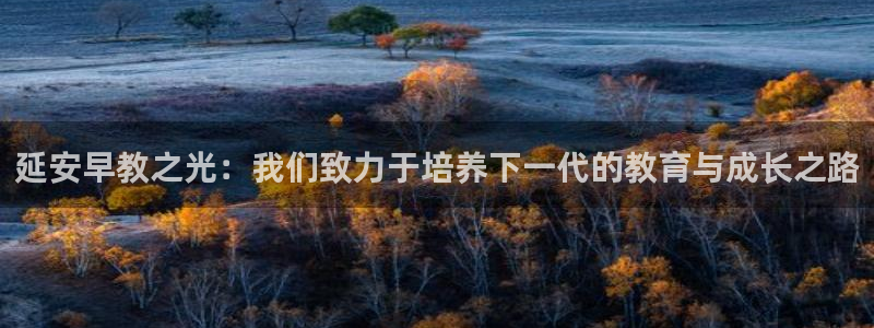 威九国际网站客服电话多少号:延安早教之光:我们致力于培养下一代的教育与成长之路