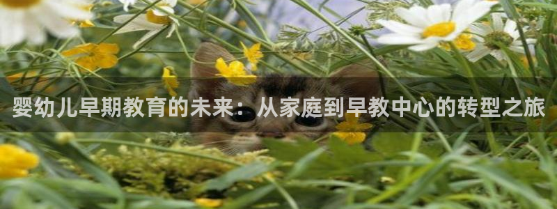 威九国际mm:婴幼儿早期教育的未来:从家庭到早教中心的转型之旅