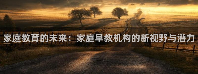 威九国际78m78：家庭教育的未来：家庭早教机构的新视野与潜力
