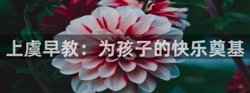 威九国际网站安全吗:上虞早教:为孩子的快乐奠基