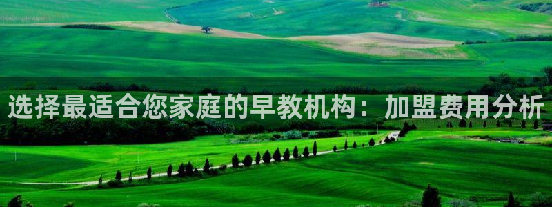 威九国际66m：选择最适合您家庭的早教机构：加盟费用分析