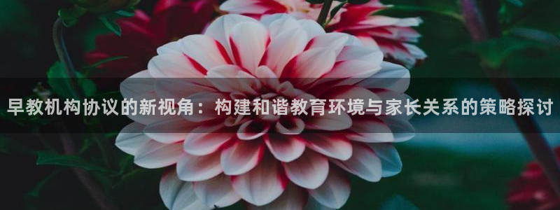 威九国际合作伙伴有哪些：早教机构协议的新视角：构建和谐教育环境与家长关系的策略探