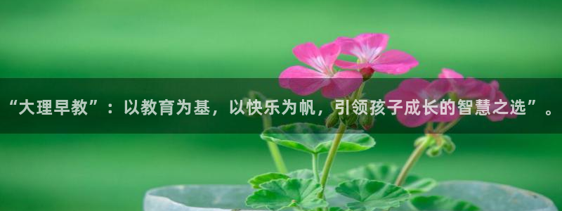78mapp威九国际媒体：“大理早教”：以教育为基，以快乐为帆，引领孩子成长的智