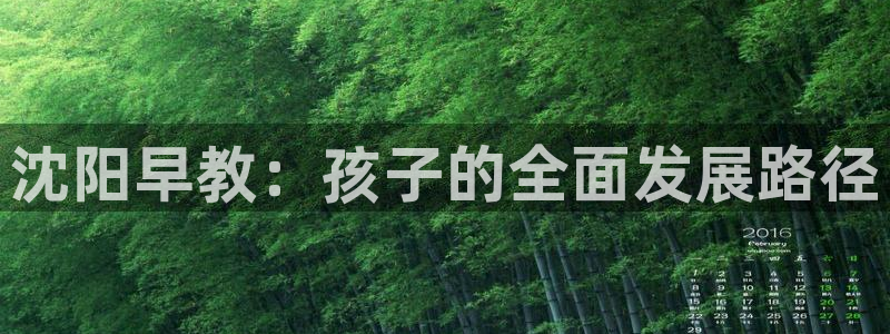 威九国际网站人入口：沈阳早教：孩子的全面发展路径