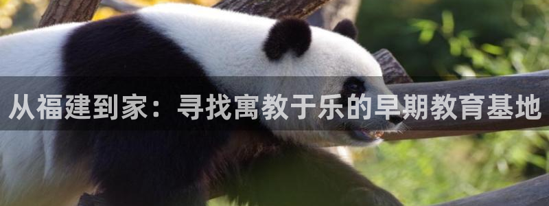 威九国际网站入口官网首页登录：从福建到家：寻找寓教于乐的早期教育基地
